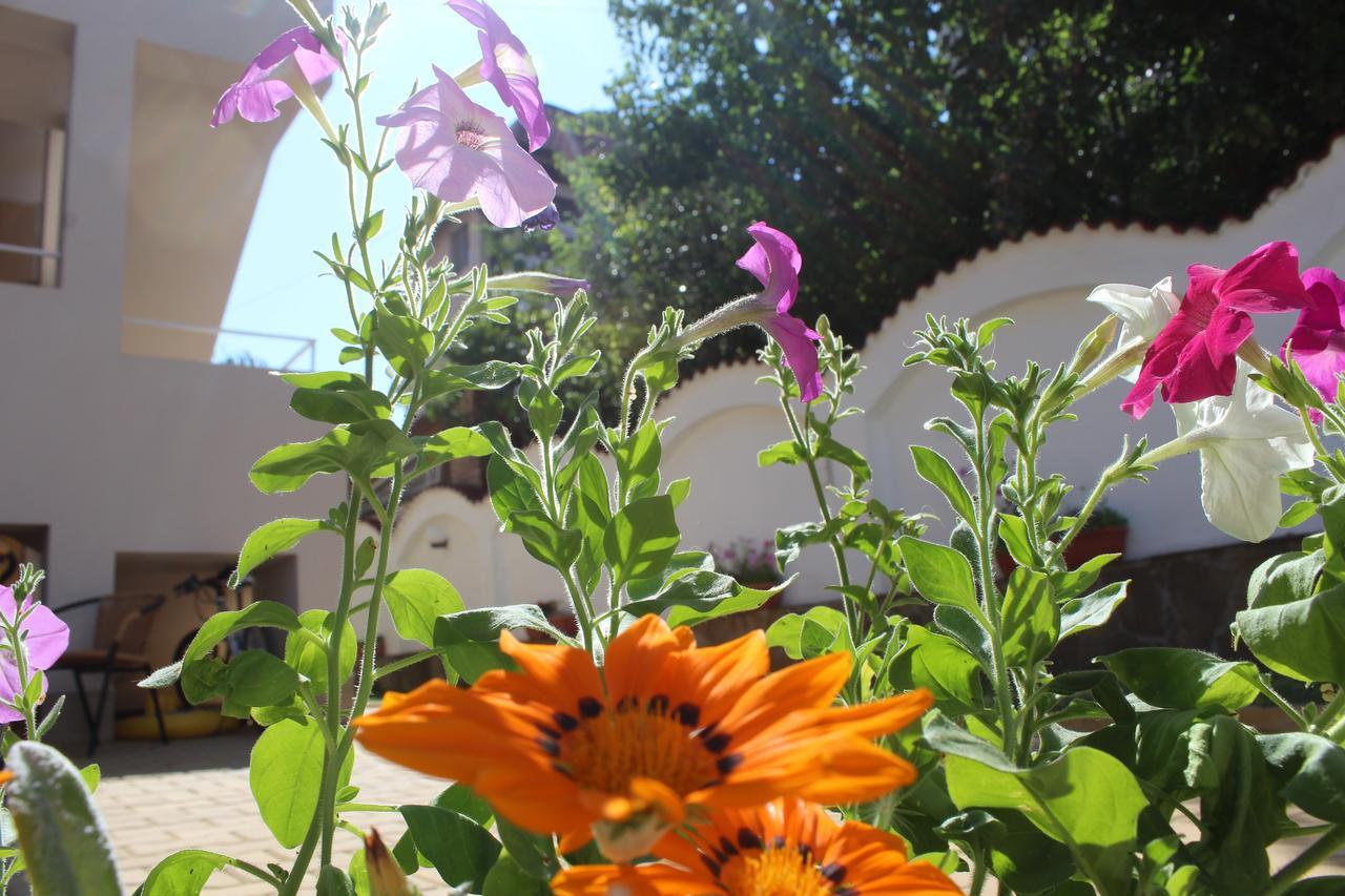 Siana House Hotel Ravda Buitenkant foto